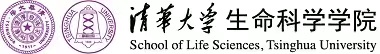 upload/20240410214151.jpg